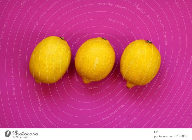 3 Zitronen auf rosa Hintergrund Lebensmittel Frucht Ernährung Essen Bioprodukte Vegetarische Ernährung Diät Fasten Lifestyle Stil Freude Wellness harmonisch