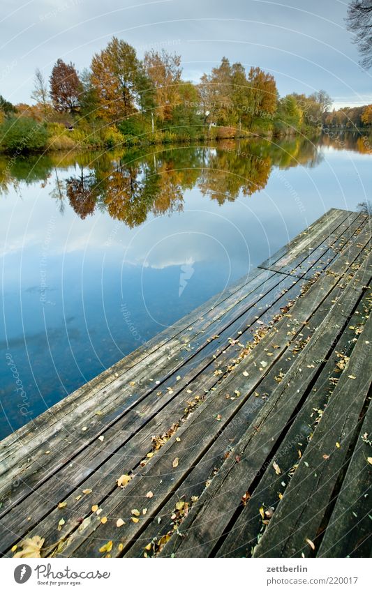 Kanal Freizeit & Hobby Ferne Freiheit Natur Landschaft Wasser Herbst Park Flussufer Romantik Sehnsucht Heimweh Fernweh Einsamkeit Brandenburg kanal Podest