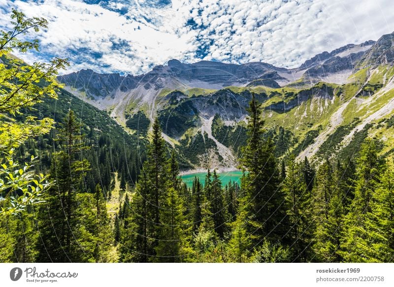 Alpenpanorama Ferien & Urlaub & Reisen Tourismus Ausflug Abenteuer Ferne Freiheit Sommer Sommerurlaub Berge u. Gebirge wandern Wolken Felsen Menschenleer