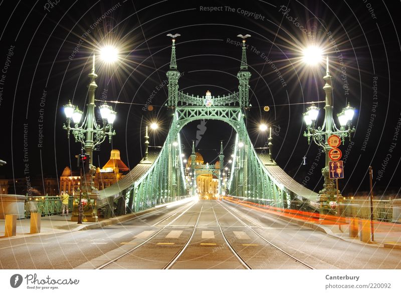 Freiheitsbrücke Ferien & Urlaub & Reisen Städtereise Hauptstadt Brücke Sehenswürdigkeit Straße leuchten ästhetisch hoch grün schwarz weiß Kultur Kunst Stil