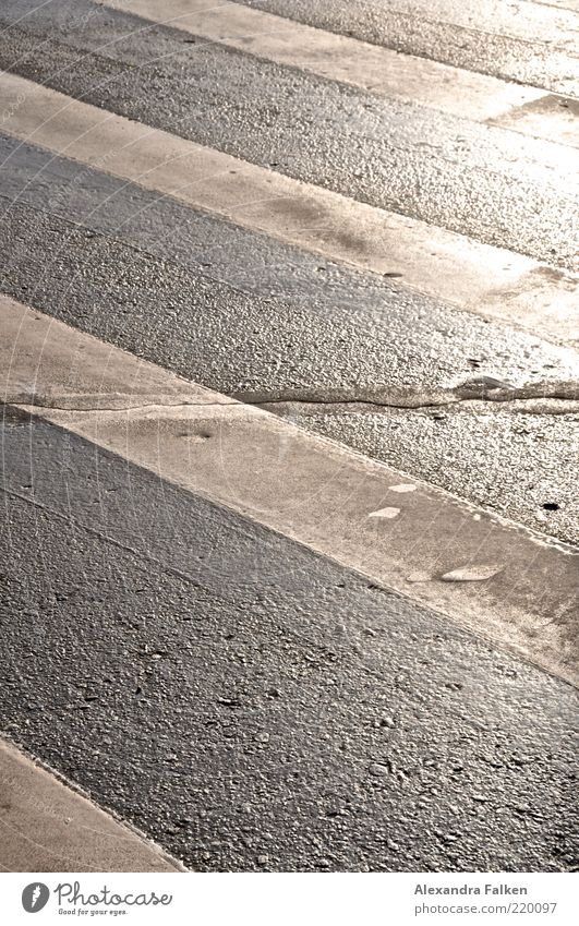 Amerikanischer Zebrastreifen Verkehrswege Straße Sicherheit Strukturen & Formen Streifen Fußgängerübergang Teer Straßenbelag Farbfoto Gedeckte Farben