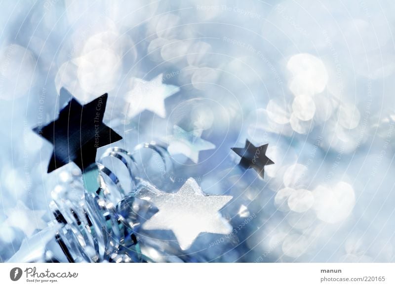 Weihnachtsfunkeln Feste & Feiern Weihnachtsdekoration Stern (Symbol) Weihnachtsstern festlich Zeichen glänzend leuchten außergewöhnlich fantastisch Fröhlichkeit
