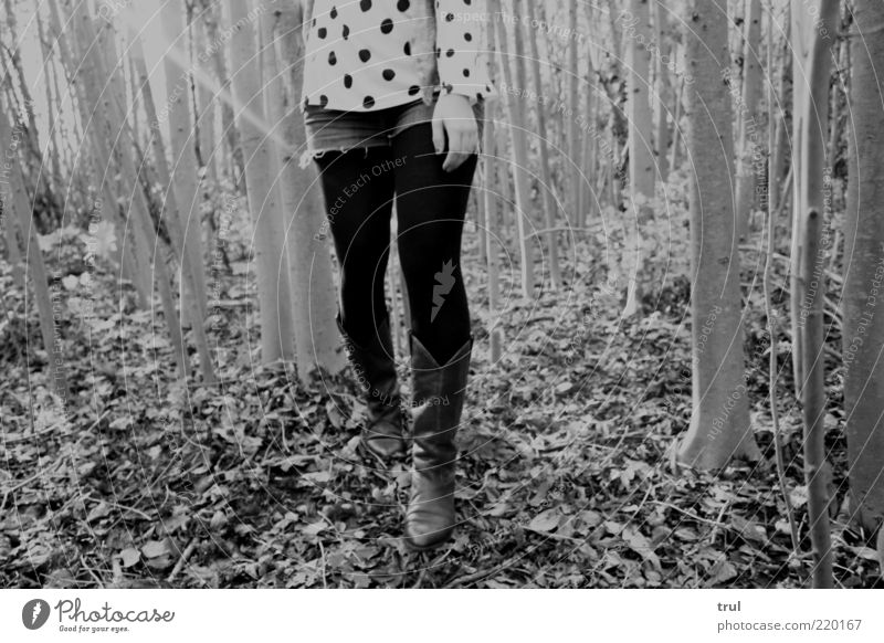 Pünktchen im Wald feminin Frau Erwachsene Hand Beine 1 Mensch Natur Sonnenlicht Herbst Baum Blatt T-Shirt Jeanshose Strumpfhose Punkt Stiefel Holz gehen wandern