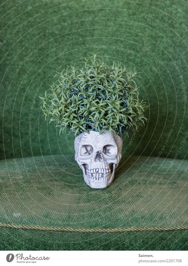 Der grüne Tod wachsen Totenkopf Schädel leben pflanze Kreislauf Gebiss Zähne skurril abstrakt verstörend vergänglich Grün Schiff