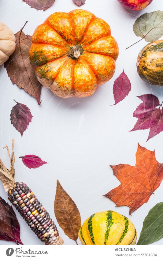Schöne Herbst Hintergrund mit Kürbis und Laub Lebensmittel Gemüse Lifestyle Stil Design Gesunde Ernährung Garten Erntedankfest Halloween Natur Blatt