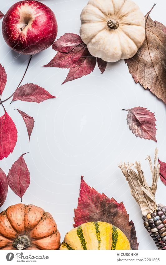 Herbst Hintergrund mit bunten Kürbis, Äpfel und Herbstlaub Stil Design Leben Garten Erntedankfest Halloween Natur Blatt Dekoration & Verzierung Ornament retro