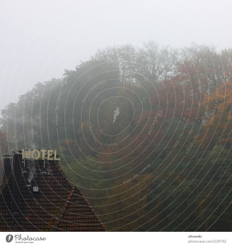 Shining Wolken Herbst schlechtes Wetter Nebel Wald Haus Hotel Dach Schriftzeichen Schilder & Markierungen Einsamkeit gruselig feuchtkalt Farbfoto