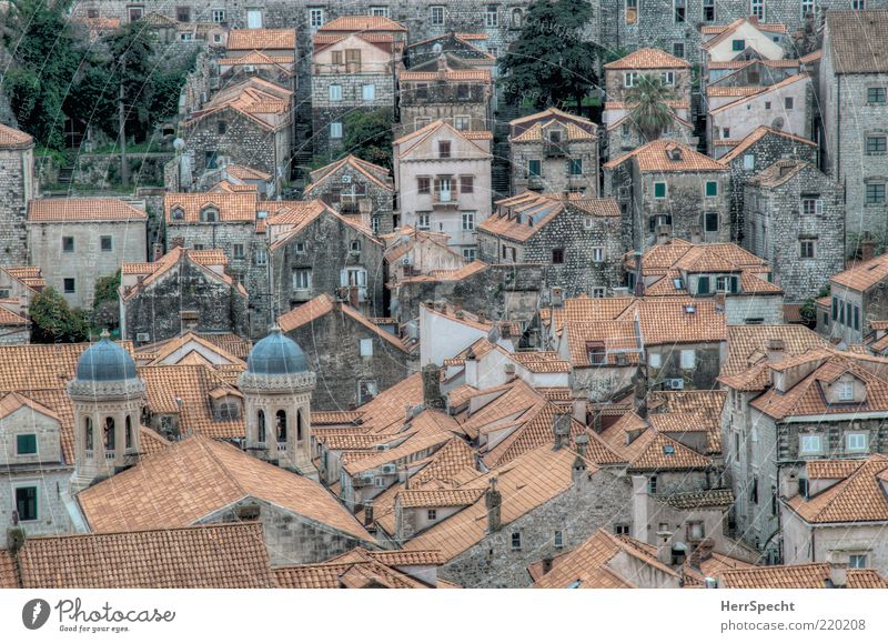 Stari grad Dubrovnik Stadt Altstadt Sehenswürdigkeit alt ästhetisch authentisch schön grau rot HDR Dachziegel Weltkulturerbe Überblick Natursteinhaus