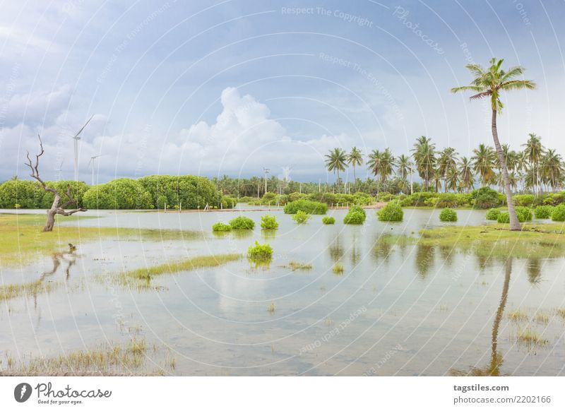 Kalpitiya Lagune, Sri Lanka Morast Moor Asien Ferien & Urlaub & Reisen reisend Idylle Freiheit Postkarte Tourismus Sonne Sonnenstrahlen Wolken Sommer Paradies
