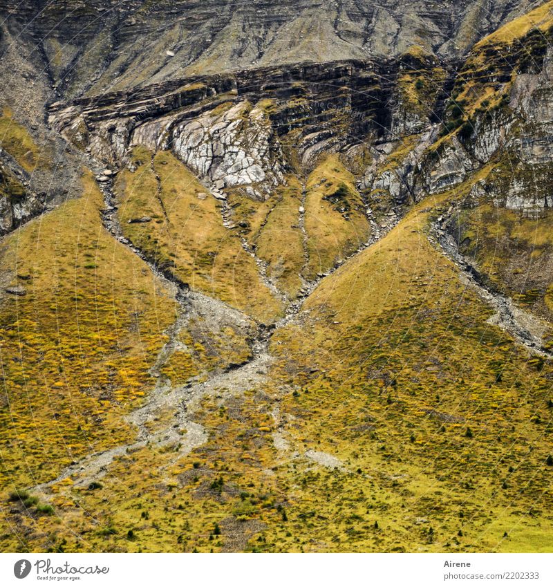 ziemlich alte Festplatte | (n) gestapelt Natur Landschaft Felsen Berge u. Gebirge Erosion bedrohlich fest gigantisch hoch gelb grau Angst Schüchternheit Sorge