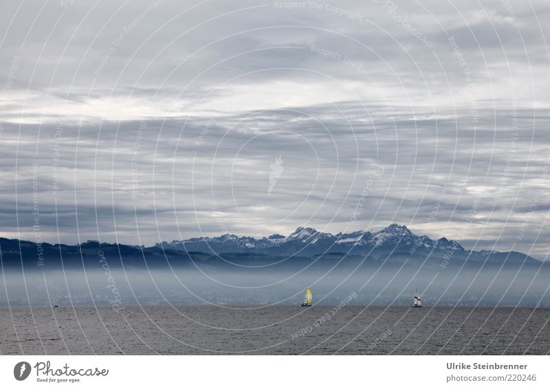 Blick auf die Schweizer Alpen vom deutschen Bodenseeufer See Wasser Segelschiff Berge u. Gebirge Himmel Wolken Bergkette blau Luft Urelemente Nebel weiß grau