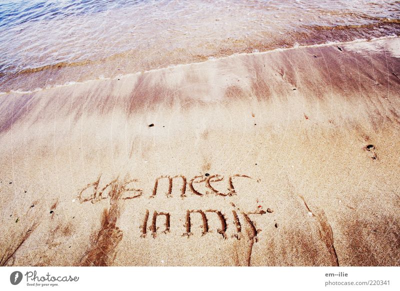 aufgewühlt Natur Sand Wasser Sommer Wetter Küste Strand Nordsee Meer Zeichen Schriftzeichen Glaube Frieden Farbfoto Außenaufnahme Menschenleer Tag Sonnenlicht
