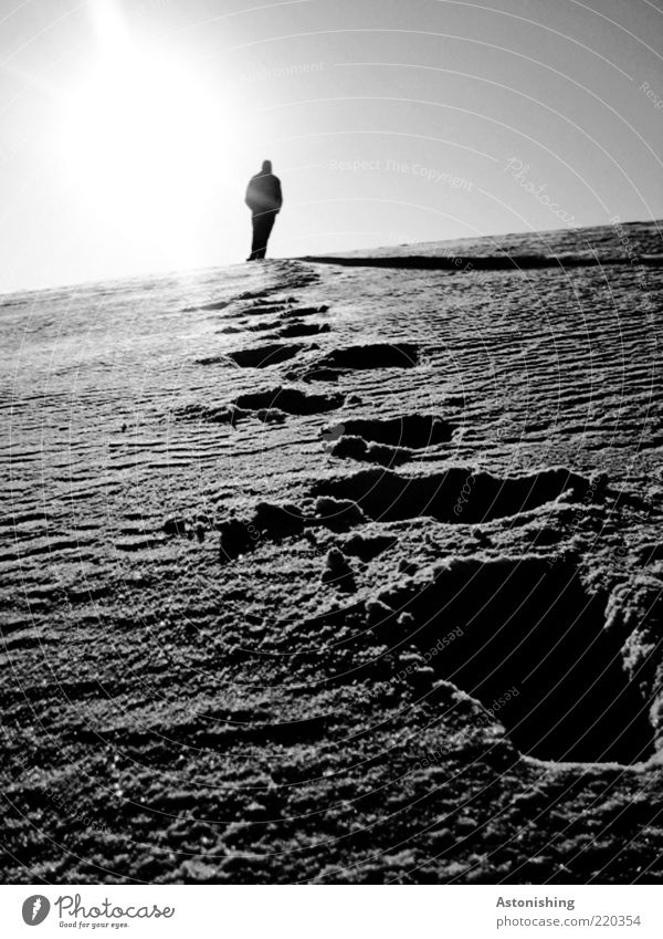 Spurensuche Mensch maskulin Mann Erwachsene 1 Umwelt Natur Landschaft Himmel Winter Wetter Schnee Hügel gehen kalt grau schwarz weiß Schneespur Schatten Pulver