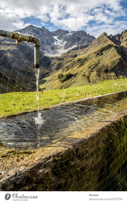 Überfluss Berge u. Gebirge wandern Landschaft Wasser Schönes Wetter Alpen Bregenzerwald Gipfel Gletscher Brunnen Trinkwasser Wasserrohr Wasserstelle