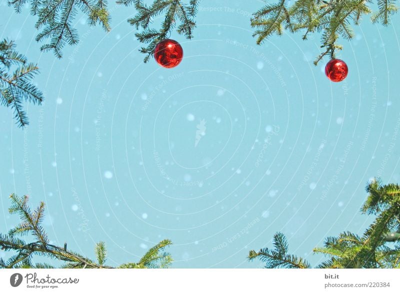 Schneeflöckchen... (IV) Natur Himmel Winter Schneefall Kitsch Krimskrams Ornament Design Kultur Tradition Tannenzweig Christbaumkugel Weihnachten & Advent Kranz