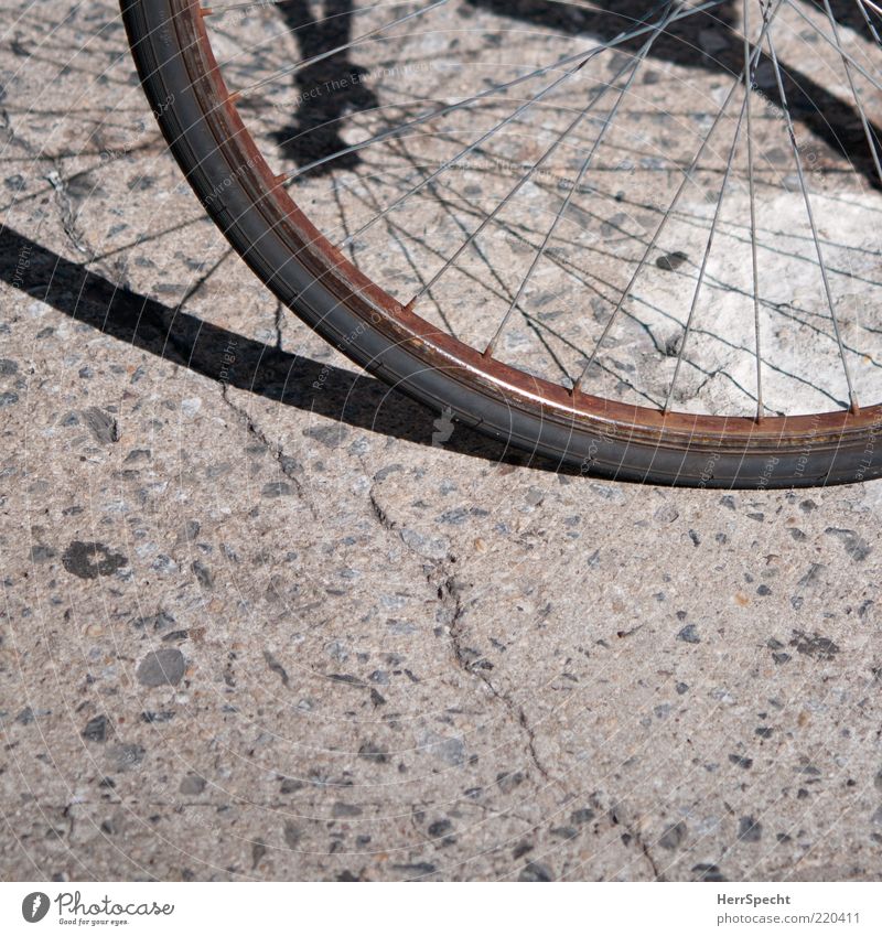 Rostig Fahrrad Metall alt rund braun grau schwarz Felge Fahrradreifen Speichen Detailaufnahme Anschnitt Bildausschnitt schrottreif Schrott verwittert Verfall