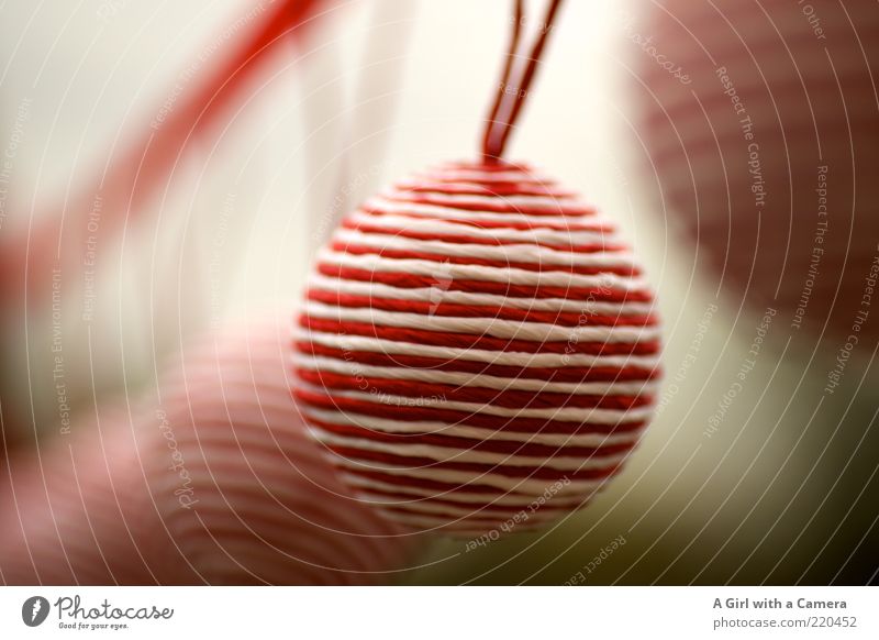herumkugeln Lifestyle elegant Stil Design Dekoration & Verzierung hängen Häusliches Leben trendy modern rund rot weiß verschönern Weihnachtsdekoration