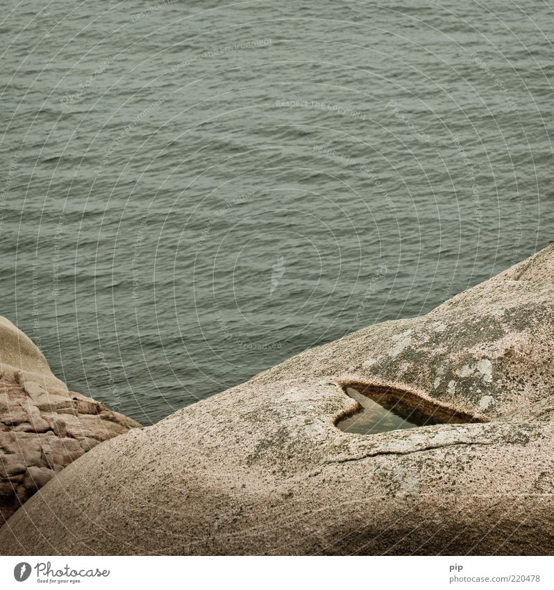 noch meer liebe Umwelt Natur Landschaft Wasser Sommer Felsen Wellen Küste Meer kalt grün Romantik schön Herz herzförmig Granit Treue Symbole & Metaphern