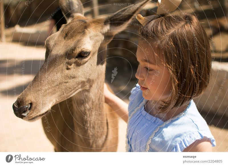 Kind mit Tier Lifestyle Ferien & Urlaub & Reisen Tourismus Ausflug Abenteuer Mensch Mädchen Zoo Haustier Nutztier Wildtier Bildung Erwartung Freundschaft