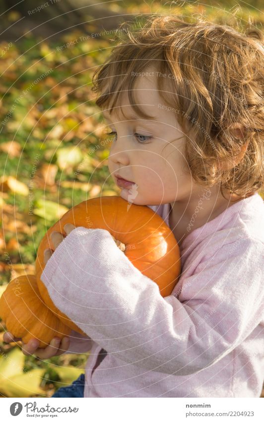 Umfassende Kürbise des entzückenden Mädchens todler auf einem Herbstfeld Garten Halloween Natur Blatt Park Wald Lächeln träumen Umarmen Fröhlichkeit hell