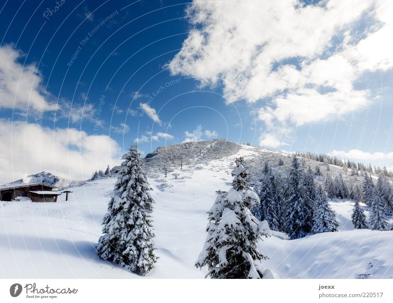 Predigtstuhl Natur Landschaft Himmel Winter Schnee Baum Alpen Berge u. Gebirge Hütte kalt blau weiß ruhig Bayern Lattengebirge Berchtesgadener Alpen Farbfoto