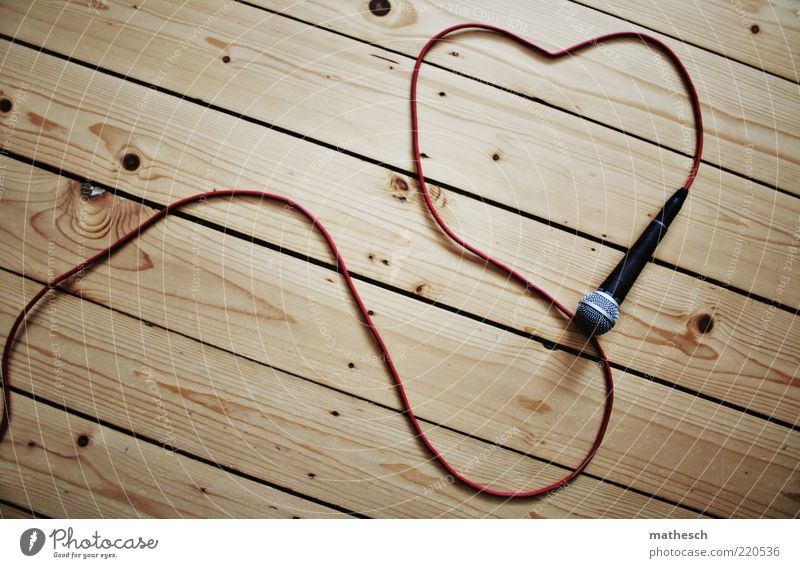 Ein Mikrofon liegt auf einem Holzboden aus alten Holzdielen, das Mikrofonkabel ist in Herzform auf den Boden gelegt Musik Feste & Feiern Kabel