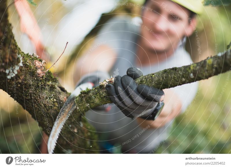 Baumpfleger schneidet Ast ab Freizeit & Hobby Garten Klettern Bergsteigen Beruf Baum fällen Förster Landwirt Wald Landwirtschaft Forstwirtschaft Mensch maskulin