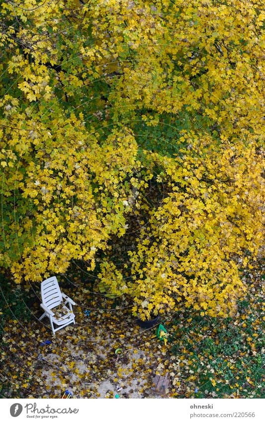 Schattiges Plätzchen Stuhl Liegestuhl Herbst Baum Blatt Garten Wiese Einsamkeit Vergänglichkeit Farbfoto Textfreiraum unten Vogelperspektive Textfreiraum oben
