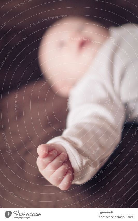 Finger Mensch maskulin Baby Kindheit Hand 1 0-12 Monate niedlich weich braun Warmherzigkeit Leben unschuldig klein schön liegen verwundbar hilflos Zukunft