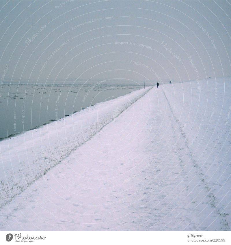 winter Umwelt Landschaft Wasser Himmel Winter Klima Wetter Nebel Schnee Küste Nordsee gehen kalt grau Endzeitstimmung Spaziergang Mensch Spazierweg Deich Eis