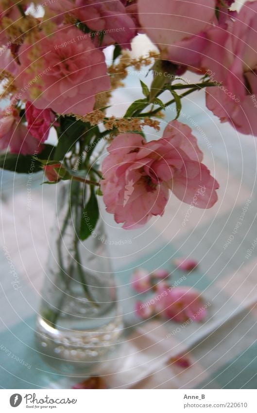 Vielen Dank für die Blumen! Rose Blüte Dekoration & Verzierung Blumenstrauß Glas Duft verblüht ästhetisch schön blau rosa weiß Romantik friedlich ruhig Kitsch