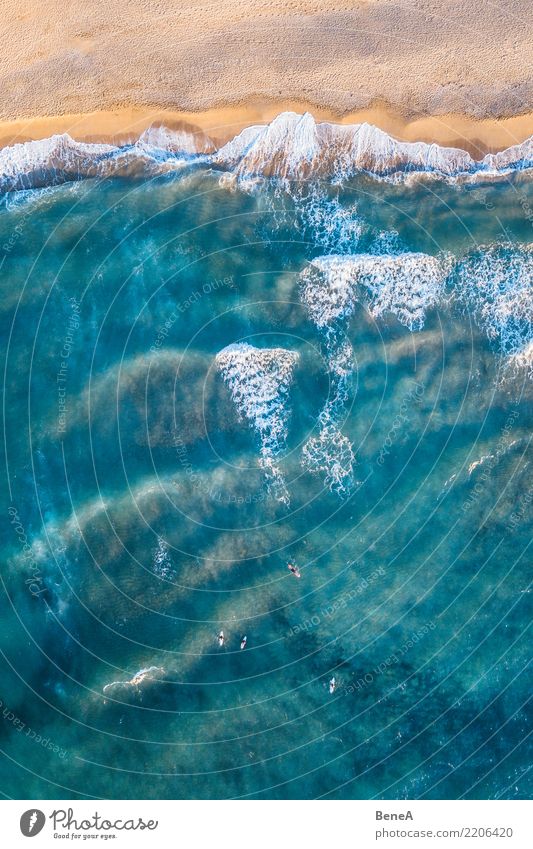 Schöner Strand, Küste und Bucht mit kristallklarem Meerwasser von oben gesehen Antenne aqua Baden schön blau Windstille übersichtlich Küstenstreifen Küstenlinie