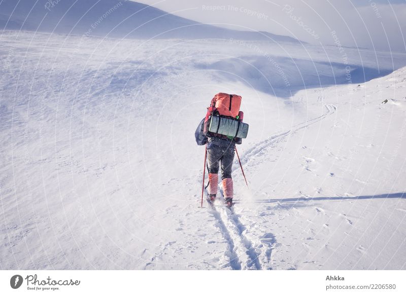 Skifahrer in Schneelandschaft mit Wanderrucksack Abenteuer Wintersport Junge Frau Jugendliche 1 Mensch Landschaft Berge u. Gebirge Norwegen authentisch kalt