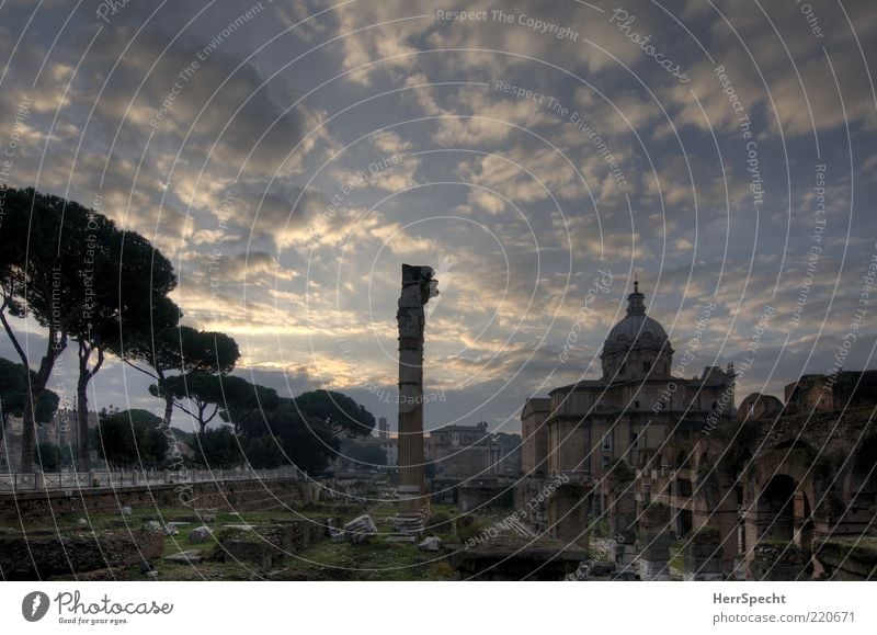 Forum Romanum bei Tagesanbruch Himmel Wolken Schönes Wetter Hauptstadt Kirche Sehenswürdigkeit Wahrzeichen Denkmal alt ästhetisch blau grau Ruine Ausgrabungen