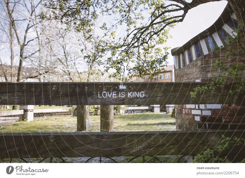 Love is King Valentinstag Hochzeit Schönes Wetter Pflanze Baum Gras Holz Zeichen Graffiti genießen Kommunizieren Küssen Liebe Gefühle Glück Fröhlichkeit