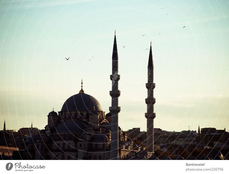 Yeni Camii Himmel Gebäude Architektur Sehenswürdigkeit historisch Religion & Glaube Islam Moschee Istanbul Türkei Minarett Kuppeldach Abendsonne Gotteshäuser