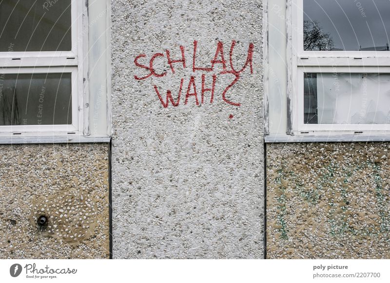 Graffiti an einer Schule in Frankfurt (Oder) Bildung Wissenschaften lernen Schulgebäude Berufsausbildung Karriere Erfolg Arbeitslosigkeit Subkultur