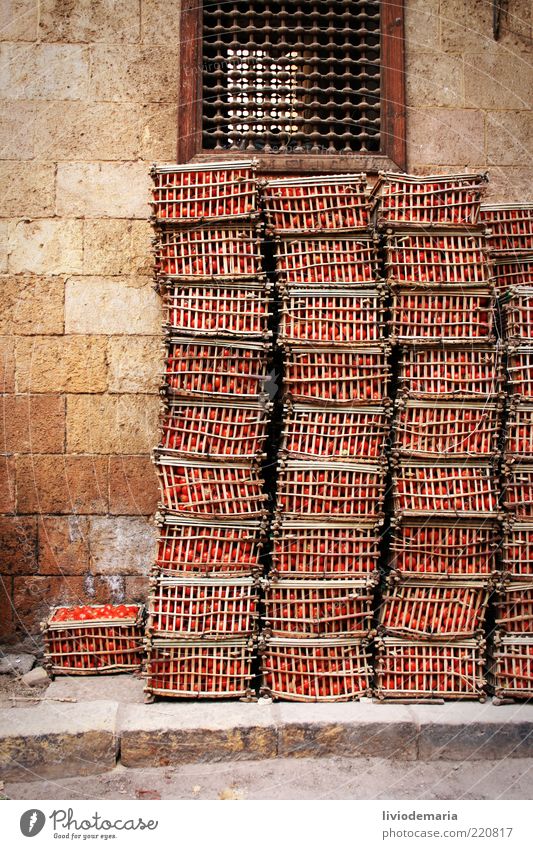walking down marketstreet Lebensmittel Gemüse Frucht Tomate Ernährung Mauer Korb Kiste lecker saftig rot Holz Lager Naher und Mittlerer Osten Straße beige Ocker