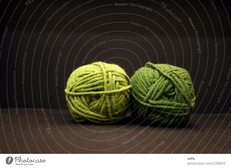 Grüne Wolle Textilien Textilindustrie einfach Originalität rund weich braun grün Qualität wollig paarweise Vor dunklem Hintergrund Farbfoto Innenaufnahme