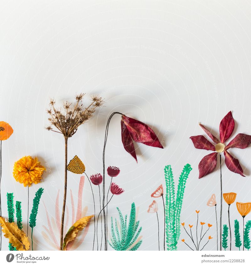 Flowers and watercolor Freizeit & Hobby Basteln zeichnen malen Natur Pflanze Herbst Blatt Papier Dekoration & Verzierung leuchten träumen elegant natürlich