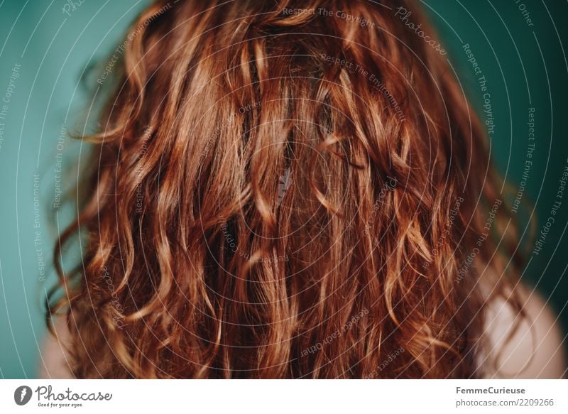 Curly hair 04 feminin Junge Frau Jugendliche Erwachsene 1 Mensch 18-30 Jahre 30-45 Jahre schön Locken Haare & Frisuren rothaarig kupfer türkis glänzend gepflegt