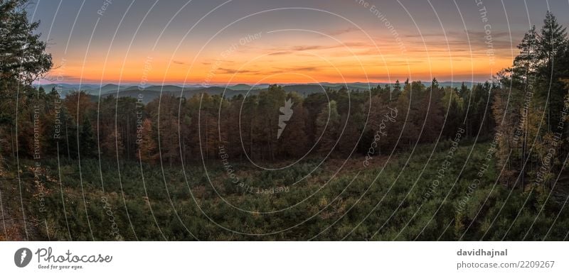Pfälzerwald Ferien & Urlaub & Reisen Tourismus Ausflug Sightseeing Expedition wandern Umwelt Natur Landschaft Himmel Wolken Horizont Sonnenlicht Herbst