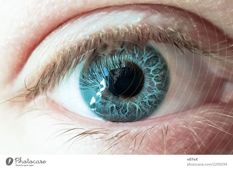 behind blue eyes schön Fotokamera maskulin Mann Erwachsene Auge Kunst Wasser Blick träumen authentisch einzigartig nah Originalität blau Gefühle Wahrheit