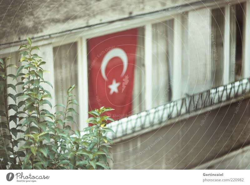 Feiertag Haus Fassade Fenster trist Fahne Türkei Istanbul Fensterfront Republik Türkiye Cumhuriyeti Laizismus Cihangir Kultur Farbfoto Tag