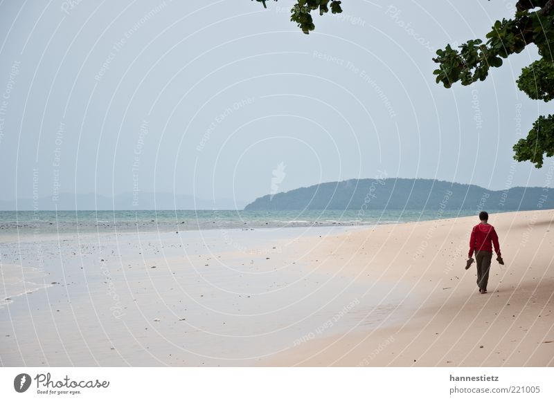 Am Strand Ferien & Urlaub & Reisen Freiheit Sommerurlaub Meer 1 Mensch Sand schlechtes Wetter Küste Jacke gehen Einsamkeit Ebbe Monsun Farbfoto