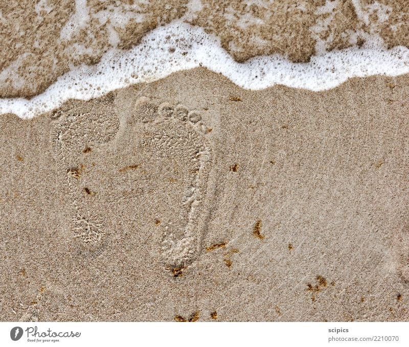 Spuren im Sand Körper Gesundheit Wellness Leben Erholung ruhig Freizeit & Hobby Sommer Sommerurlaub Strand Meer Wellen Yoga Umwelt Natur Landschaft Wasser Klima