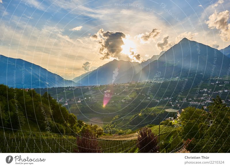 Schenna Südtirol Ferien & Urlaub & Reisen Tourismus Ausflug Ferne Freiheit Berge u. Gebirge wandern Umwelt Natur Landschaft Pflanze Tier Wolken Sonne Sommer
