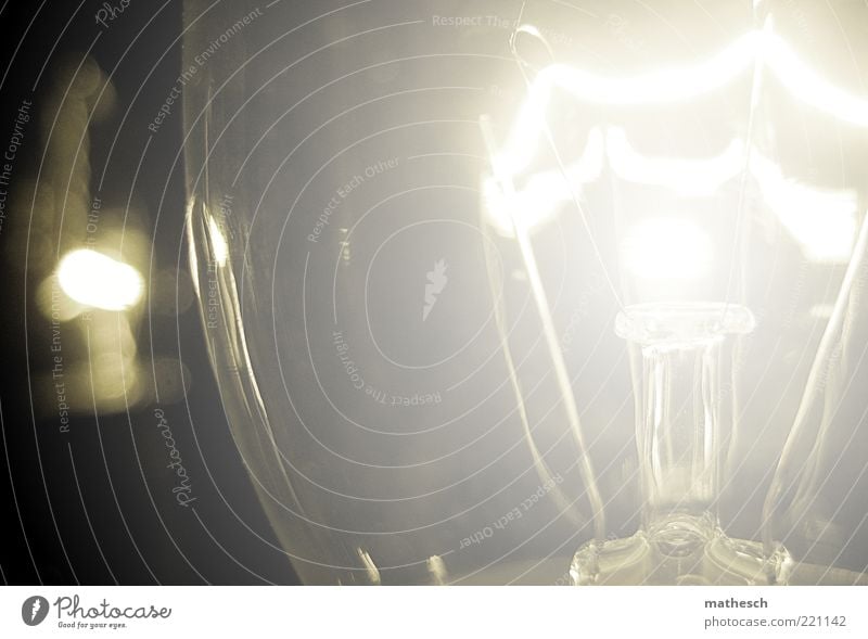light Glühbirne Elektrizität Glas glänzend rund Wärme weiß Farbfoto Innenaufnahme Nahaufnahme Detailaufnahme Menschenleer Kunstlicht Licht Glühdraht Erfindung