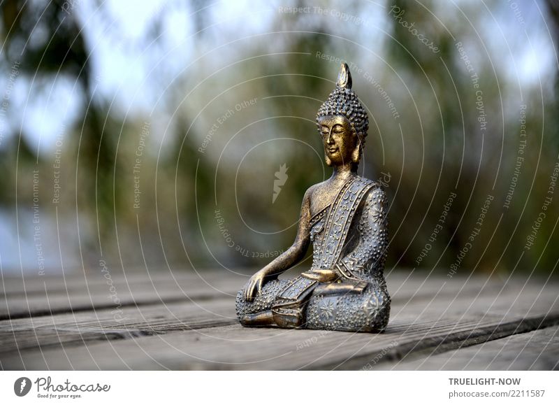 Buddhafigur auf Anlegesteg am Fluss Glück Gesundheit Wellness harmonisch Wohlgefühl Zufriedenheit Erholung ruhig Meditation Freiheit Leben Kunst Sommer Herbst