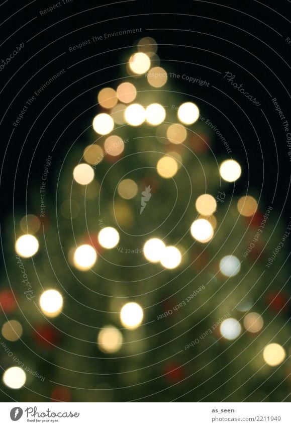 XMAS Tree Lifestyle Reichtum elegant Design Feste & Feiern Weihnachten & Advent Weihnachtsbaum Weihnachtsbeleuchtung Weihnachtsdekoration Winter Baum Tanne
